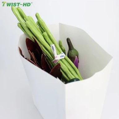 ই এম উত্পাদন কাস্টমাইজড পেপার ব্যাগ